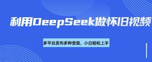 利用DeepSeek做怀旧视频,流量号多渠道变现能力强-知一资源网