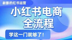 小红书电商全流程,精简易懂,从入门到精通,学这一门就够了-知一资源网