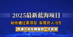 2025蓝海项目,普通人如何通过卖项目,实现月入过W,全过程【揭秘】-知一资源网