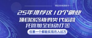 25年推荐这10个副业项目包含褂鸡类、代运营托管类、全自动打金类【揭秘】-知一资源网