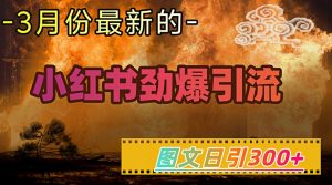 小红书超劲爆引流手段,图文日引300+轻松变现1W-知一资源网