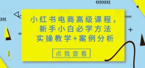 小红书电商高级课程,新手小白必学方法,实操教学+案例分析-知一资源网