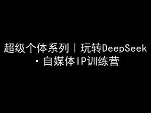 超级个体系列，玩转DeepSeek·自媒体IP训练营，deepseek教程-知一资源网
