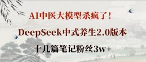 AI中医大模型杀疯了!DeepSeek中式养生2.0版本,十几篇笔记粉丝3w+-知一资源网