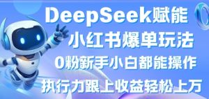 DeepSeek赋能小红书爆单玩法0粉新手小白都能操作，执行力跟上收益轻松上W，懒人勿做-知一资源网