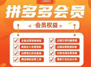 2025拼多多运营实战课,40节全流程教学,覆盖拼多多运营全链路-知一资源网