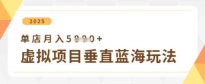 虚拟项目垂直玩法，实现单店月入5k+-知一资源网