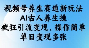 视频号养生赛道新玩法,AI古人养生操,疯狂引流变现,操作简单,单日变现多张-知一资源网