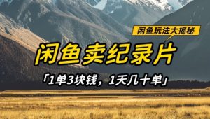 闲鱼卖纪录片1单3块钱，1天几十单，项目稳定有潜力-知一资源网