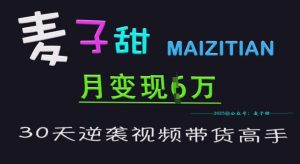麦子甜30天逆袭视频带货高手,单月变现6W加特训营-知一资源网