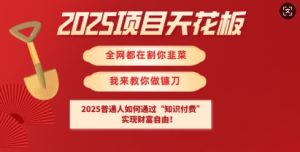 2025项目天花板普通人如何通过知识付费,实现财F自由【揭秘】-知一资源网