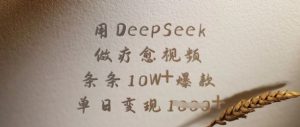 用DeepSeek做疗愈视频,条条10W+爆款,单日变现多张-知一资源网