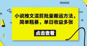 小说推文混剪批量搬运方法，简单粗暴，单日收益多张-知一资源网
