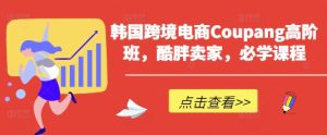 韩国跨境电商Coupang高阶班,酷胖卖家,必学课程-知一资源网