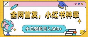 小红书种草,手机项目,日入3张,复制黏贴即可,可矩阵操作,动手不动脑【揭秘】-知一资源网