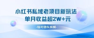小红书私域项目新玩法，单月变现过W+-知一资源网