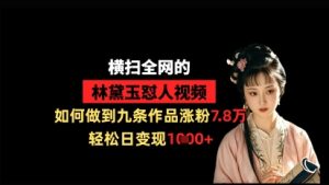 横扫全网的林黛玉怼人视频，如何做到九条作品涨粉7.8万，轻松日变现1k-知一资源网