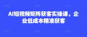 AI短视频矩阵获客实操课,企业低成本精准获客-知一资源网