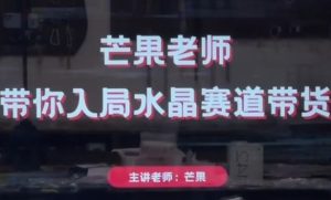芒果老师·带你入局水晶赛道带货,助你开启水晶直播带货事业-知一资源网