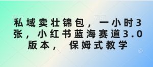 私域卖壮锦包,一小时3张,小红书蓝海赛道3.0版本, 保姆式教学-知一资源网