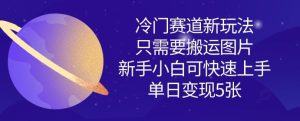 冷门赛道新玩法，只需要搬运图片，新手小白可快速上手，单日变现多张-知一资源网