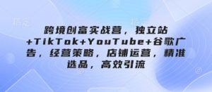 跨境创富实战营,独立站+TikTok+YouTube+谷歌广告,经营策略,店铺运营,精准选品,高效引流-知一资源网