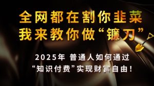 全网都在割你韭菜，我来教你做镰刀，2025普通人如何通过知识付费，实现财F自由【揭秘】-知一资源网