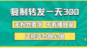 转发视频一天3张+,正规平台放心做,不看播放量,无粉丝要求,随时随地挣收益【揭秘】-知一资源网