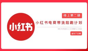 2025小红书虚拟电商实战课,从0到1打造无货源店铺,AI+爆款笔记轻松变现-知一资源网
