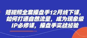 短视频全案操盘手12月线下课,如何打通自然流量,成为现象级IP必修课,操盘手实战经验-知一资源网