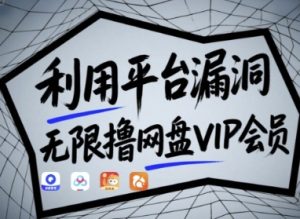 利用平台漏洞,无限撸网盘VIP会员,用户亲测有效!【漏洞原理+操作演示】-知一资源网
