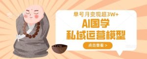 AI国学私域运营模型,单号月变现过W-知一资源网
