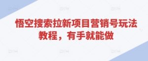 悟空搜索拉新项目营销号玩法教程,有手就能做-知一资源网