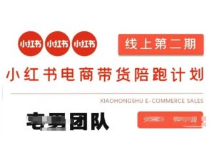 小红书电商带货课2期,月利润20个的小红书电商的有货源,无货源,虚拟产品,付费投流等整套玩法-知一资源网