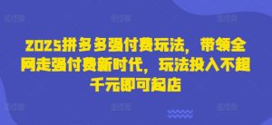 2025拼多多强付费玩法,带领全网走强付费新时代,玩法投入不超千元即可起店-知一资源网