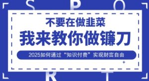 韭菜生涯终结者,我来教你做镰刀,2025如何通过“知识付费”实现财F自由【揭秘】-知一资源网