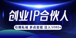 云帆·创业ip合伙人打造3.0,从0到1教你做网创,实现月入过W-知一资源网