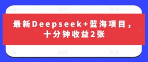 最新Deepseek+蓝海项目,十分钟收益2张-知一资源网