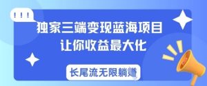 独家三端变现蓝海项目,让你收益最大化,长尾流无限躺挣-知一资源网