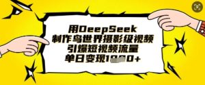用DeepSeek制作鸟世界摄影级视频,引爆短视频流量,单日变现1k-知一资源网