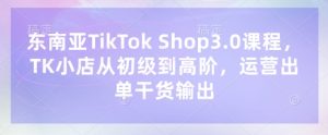 东南亚TikTok Shop3.0课程,TK小店从初级到高阶,运营出单干货输出-知一资源网