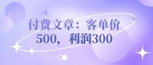 付费文章:客单价500,利润300-知一资源网