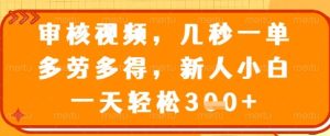 审核视频,几秒一单,多劳多得,新人小白一天轻松3张【揭秘】-知一资源网