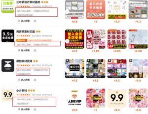 0成本虚拟项目实战手把手教你落地，单店月入5k-知一资源网