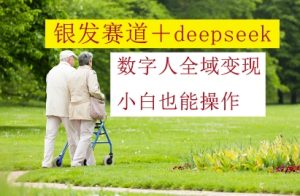 银发赛道+deepseek数字人全域变现,小白也能操作-知一资源网