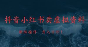 抖音小红书卖虚拟资料,市场需求一直存在,矩阵操作,月入1w+-知一资源网