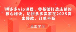 拼多多vip课程,零基础打造店铺的核心秘诀,助拼多多卖家在2025卖出爆款,订单不断-知一资源网