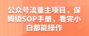 公众号流量主项目，保姆级SOP手册，看完小白都能操作-知一资源网