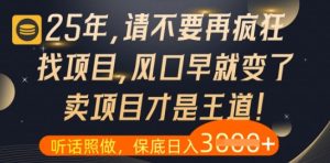 什么?25年你还在疯狂找项目做,醒醒吧,看完这些你全都懂了【揭秘】-知一资源网