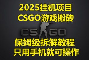 2025挂G项目，CSGO游戏搬砖，保姆级拆解教程，只用手机就可操作【揭秘】-知一资源网